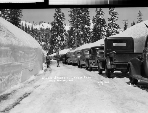 Winter Sports in Lassen Park Near Mineral, Calif