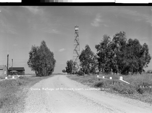 Game Refuge at Willows, Calif