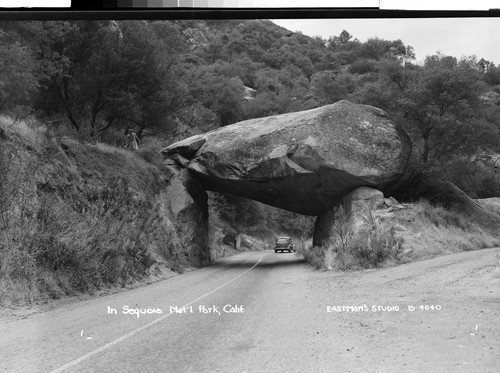 In Sequoia Nat'l. Park, Calif