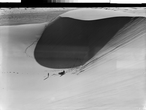 Sand Dunes near Yuma, Arizona