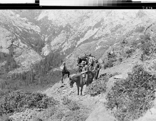 In the Trinity Alps, Calif