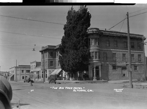 "The Big Tree Hotel" Alturas, Cal