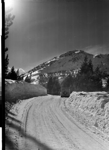 Near Calpine, Calif