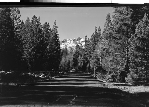 The Sierra Buttes, Calif