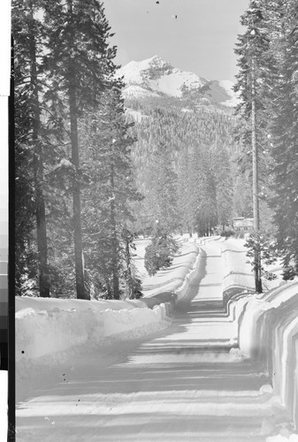 "Broke-off Mt." from Lassen Volcanic Highway near Mineral, Calif