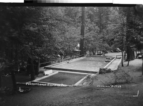 Forest Lodge Swimming Pool