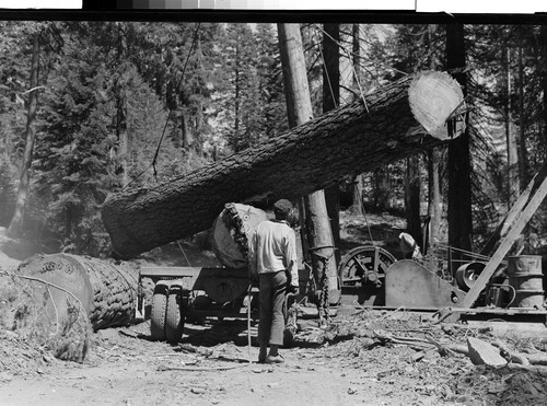 Red River Lumber Company (Humbug Logging Operation)