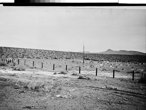 Brother David, Fernley, Nevada