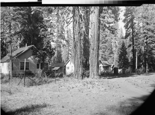 McCloud Logging Camp