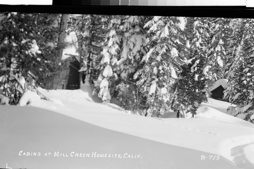 Cabins at Mill Creek Homesite, Calif