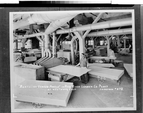 "Surfacing Veneer Panels" in Red River Lumber Co. Plant at Westwood, Calif