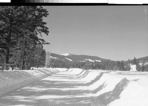 Near Calpine, Calif