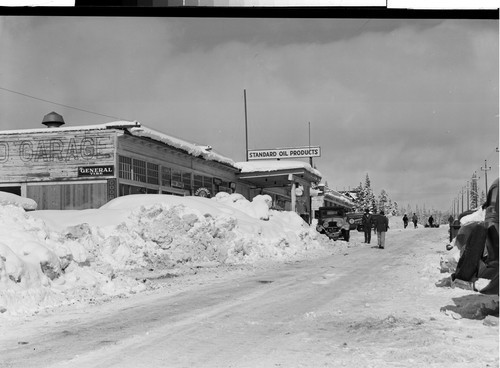 Unused negatives of Westwood in Winter