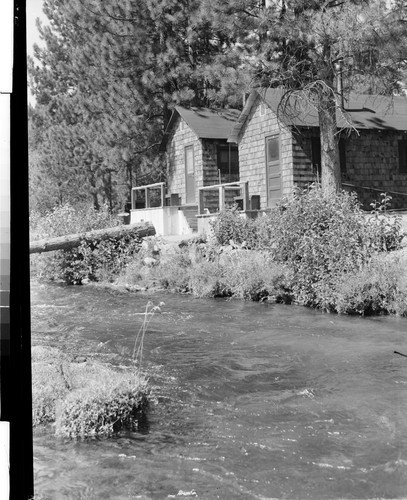 Cabins at Art Young's Resort, Old Station, California