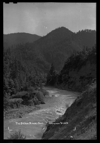 The Salmon River, Calif