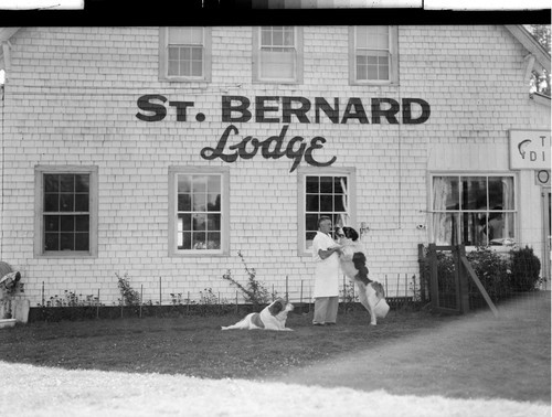 St. Bernard Lodge, Mill Creek, Calif. Ph. Alpine 8-3903