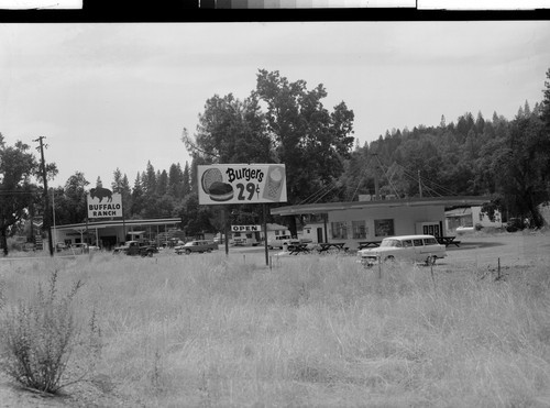 The Buffalo Ranch, near Redding, Calif