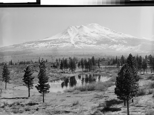 Mt. Shasta, Calif