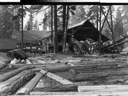 Plumas or Lassen County? Gold Run?