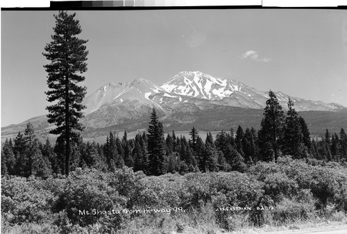 Mt. Shasta from hi-way 99