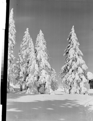 At Crater Lake, Oregon