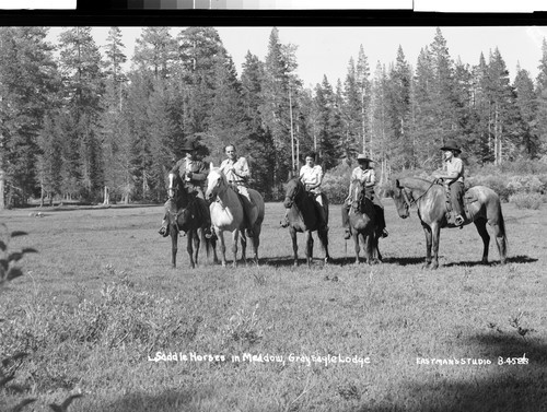 Saddle Horses in Meadow, Gray Eagle Lodge