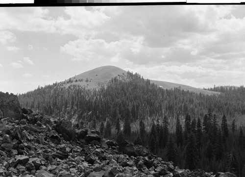 Pumice Mt., Siskiyou Co., Calif