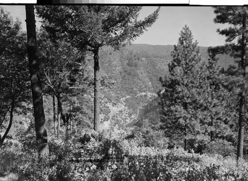 From Grand View, Feather River Canyon, Calif