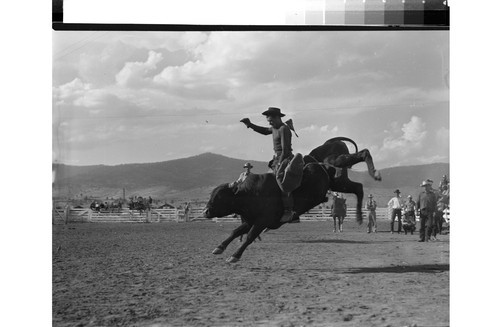Rodeo Action Shots