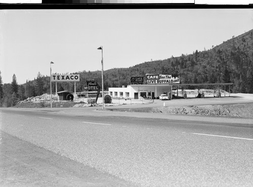 The Buffalo Ranch, Redding, Calif