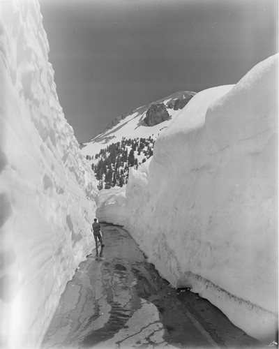 Mt. Lassen Snow