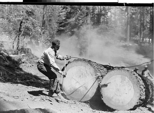 Red River Lumber Company Humbug Logging Operation