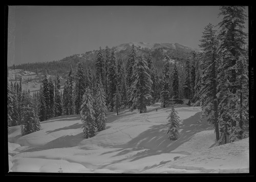 In Lassen Volcanic National Park, Calif