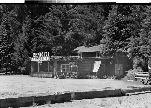 Along the Redwood Highway, Calif