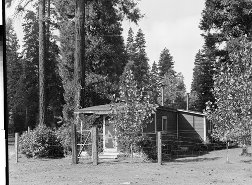 McCloud Logging Camp