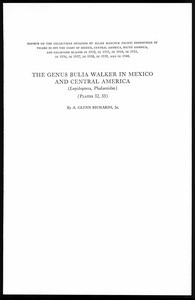 The genus Bulia Walker in Mexico and Central America (Lepidoptera, Philaenidae)