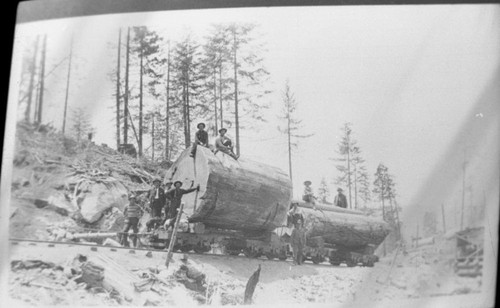 Logging, Misc. Groups. Transporting Giant Sequoia segments to the mill