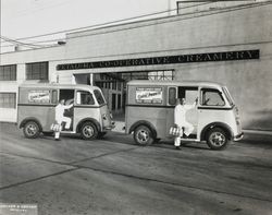 Two unidentified milk men with their trucks parked in front of Petaluma Cooperative Creamery, about 1952