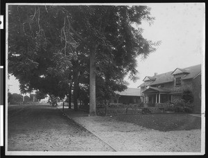 View of a suburban residential street in Watsonville, ca.1900