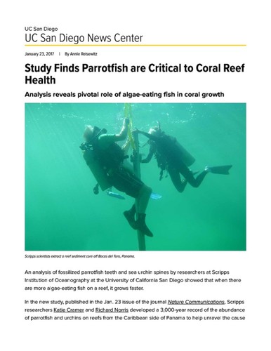 Study Finds Parrotfish are Critical to Coral Reef Health