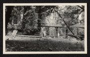 Bridge in the Redwoods near Scotia, California
