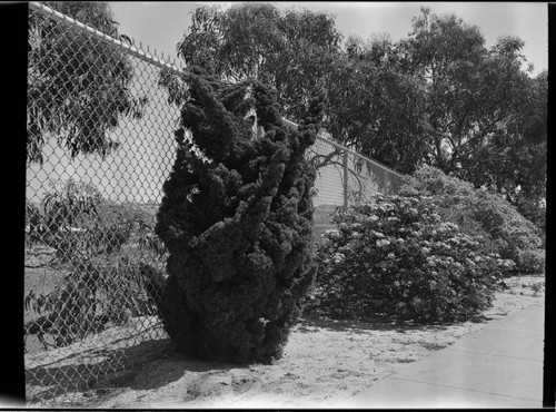 [Unidentified]. Landscaping