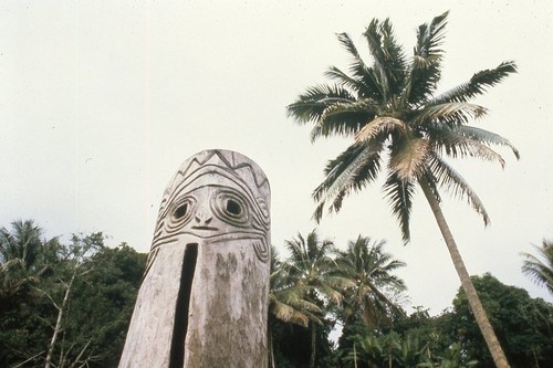 Replica of pre-missionary slit gong in South West Bay Wintua
