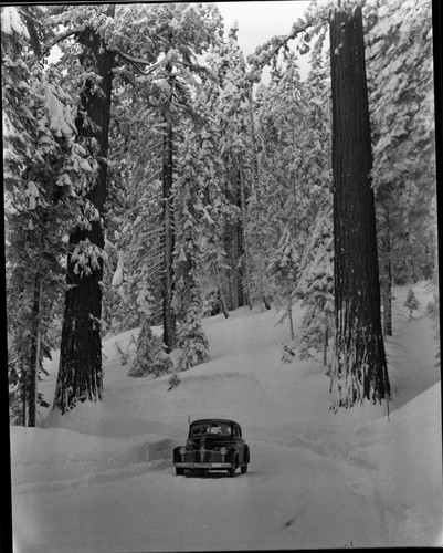 Winter Scenes, Roads, Vehicular Use, car on snowy road