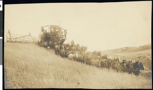 Comine harvester, Washington