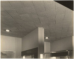 [Interior ceiling detail Biltmore Hotel Coffee Shop]