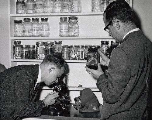 Two men in a science lab. One looking at specimens in glass jars, the other looking into a microscope