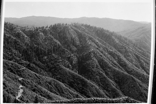 Park Ridges, Roads, logging, view towards Grant Grove, showing logged over area, and road to Evans Grove
