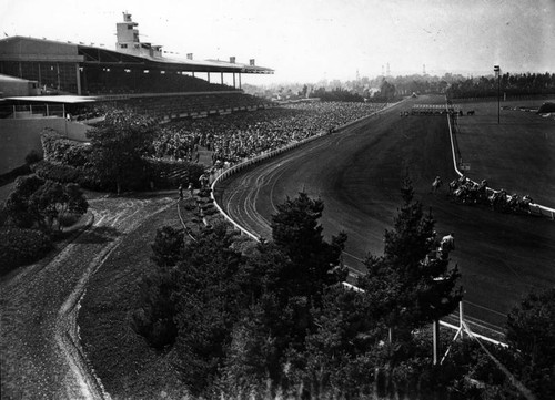 Horse race at Santa Anita Racetrack, view 9