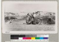 "Logs" in the Petrified Forest, Arizona. Apr. 1951. Metcalf